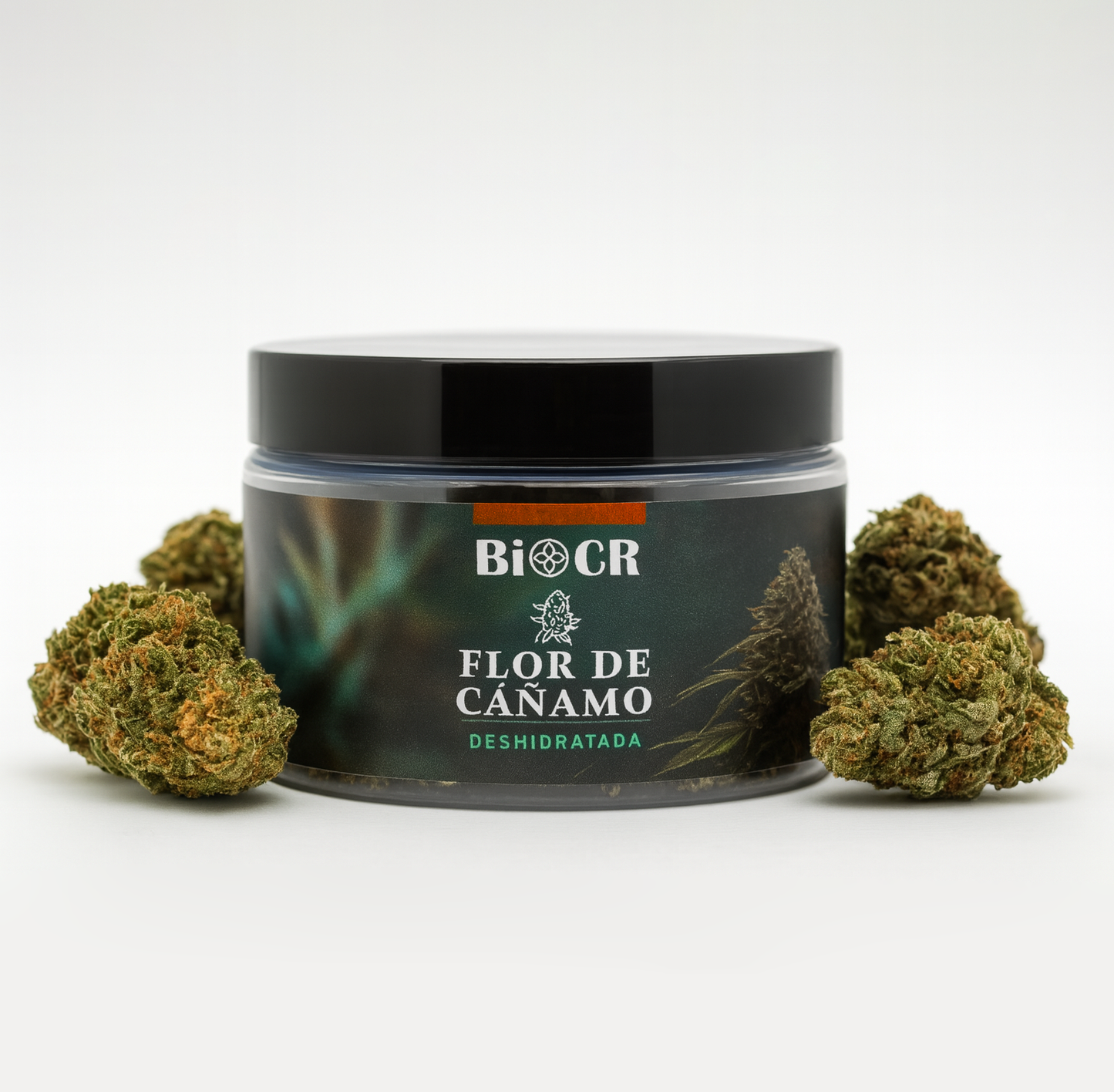 Flor de CBD Mountain Mango 🥭⛰️
