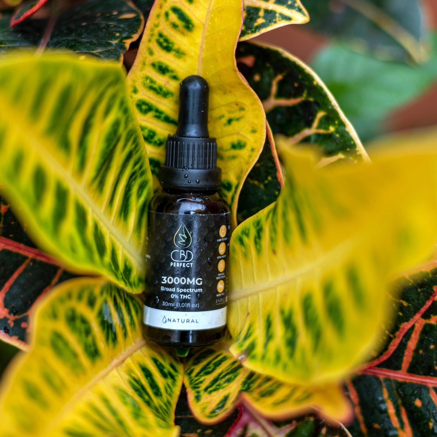 gotas cbd sabor natural 3000