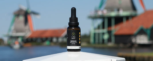 ¿Cómo funciona el CBD en el cuerpo?