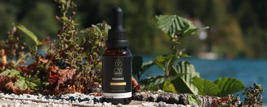 CBD y Clonazepam