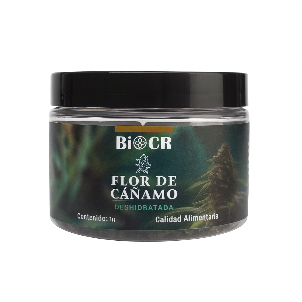 Flor de CBD Cherry Chocolate Chip (CCC) 🍒🍫