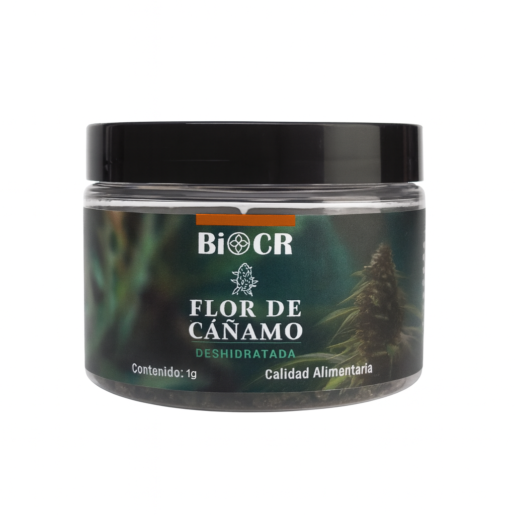 Flor de CBD Mountain Mango 🥭⛰️