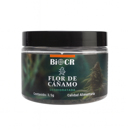Flor de CBD Mountain Mango 🥭⛰️